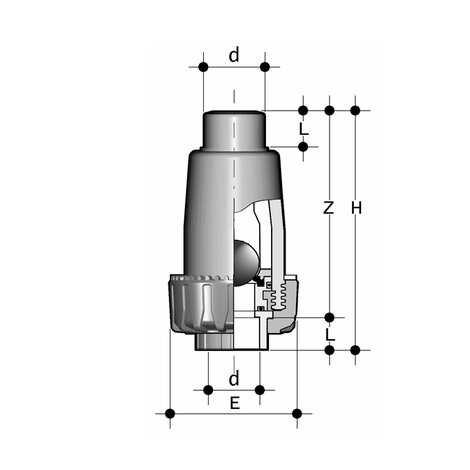 SRIF/SF - Ball check valve DN 15:50