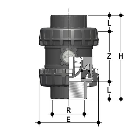 SSENV/PTFE - Easyfit True Union ball and spring check valve DN 65:100
