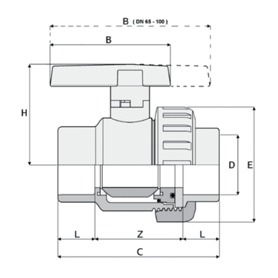 3V302 - Single union ball valve