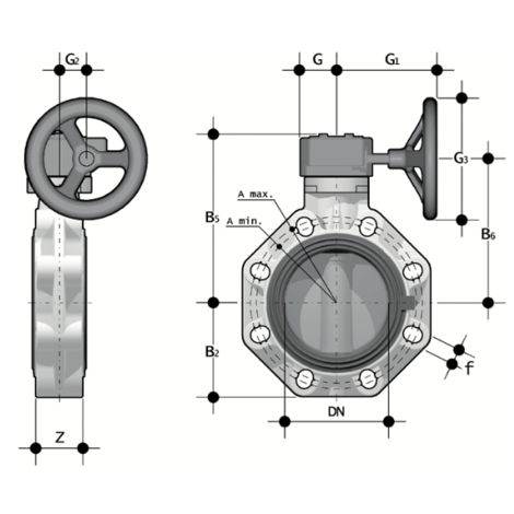 1V800 - Butterfly valve DN 250:300
