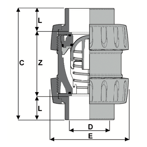 1V230 - True union spring check valve