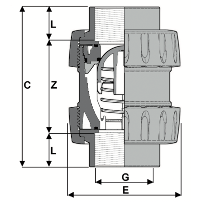 1V231 - True union spring check valve DN 10:100