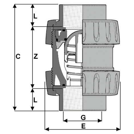 1V231 - True union spring check valve DN 10:100